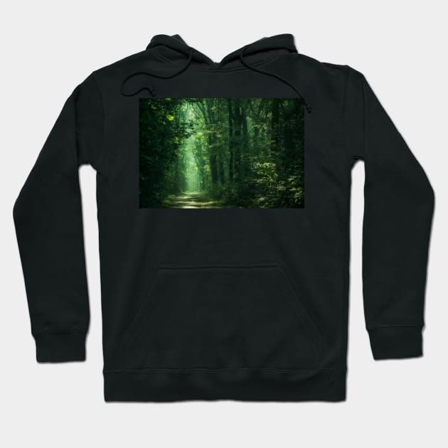 Sunlit Woodland Hoodie by David Lichtneker